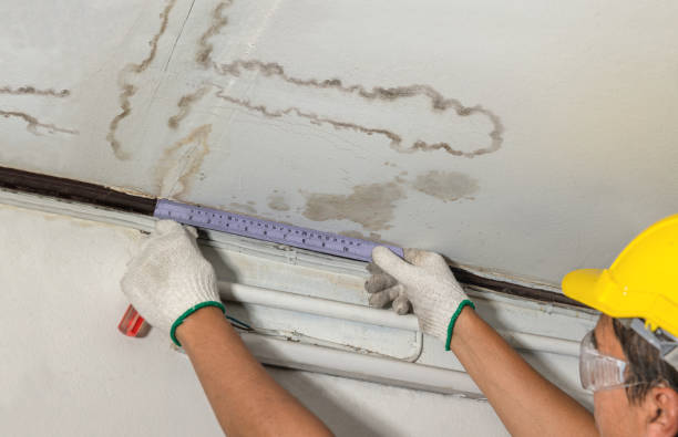 Reliable Water Damage contractor in Bridgeport, TX by Water Damage Irwin